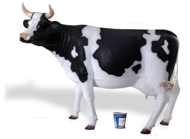 BinkNyc, Neurochemical