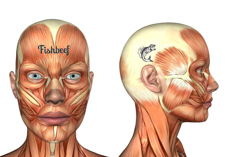 muscles fishbeef