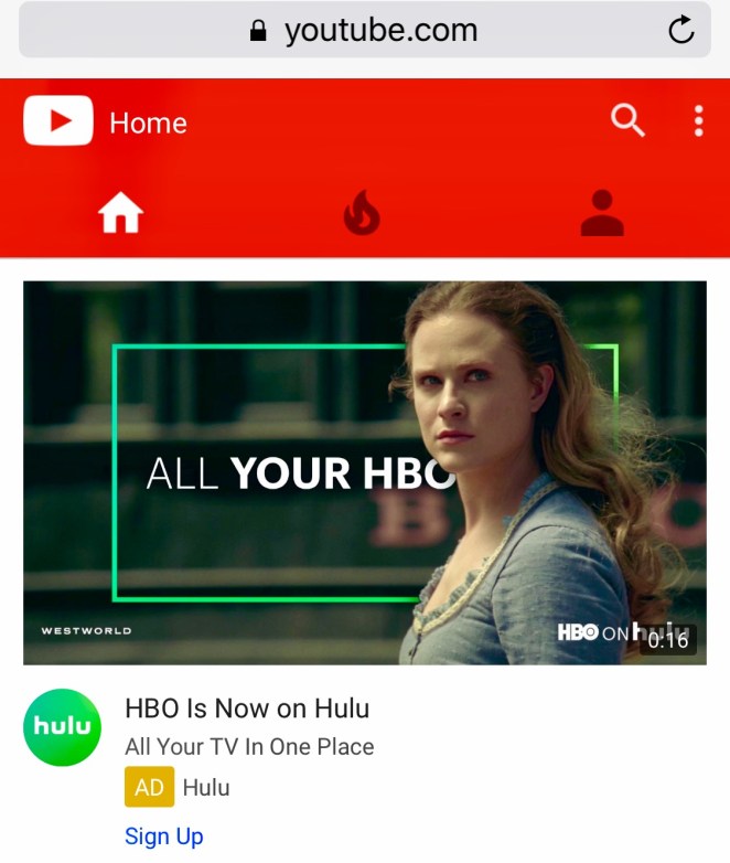 Binknyc, culture, neurochemical