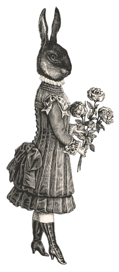 Fishbeef Rabbit Lady